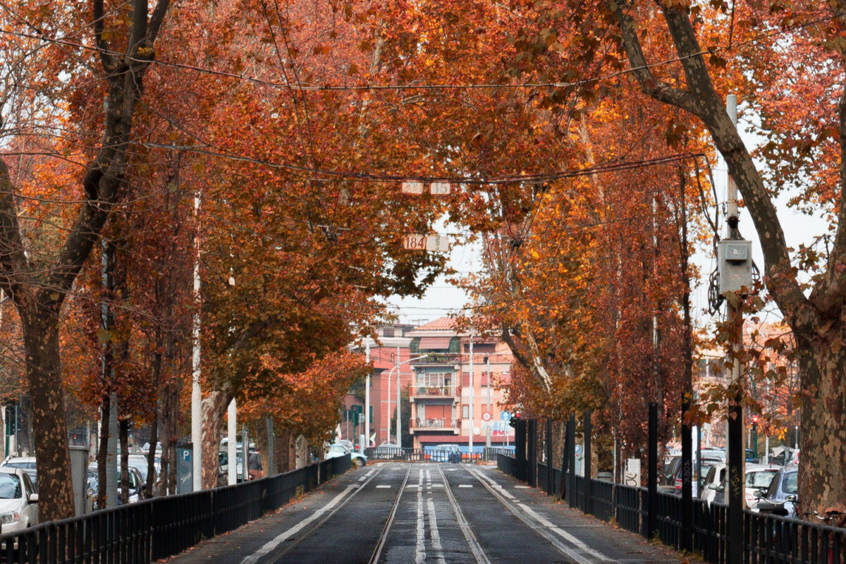 autunno (ph. Unsplash)