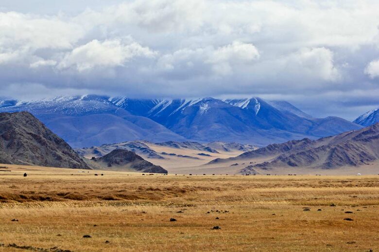 Mongolia (Unsplash)