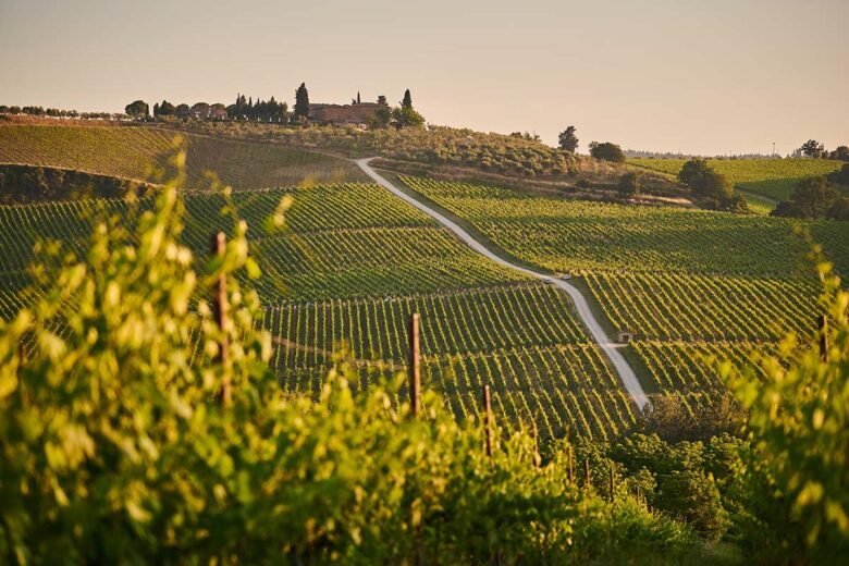 Toscana (Unsplash)