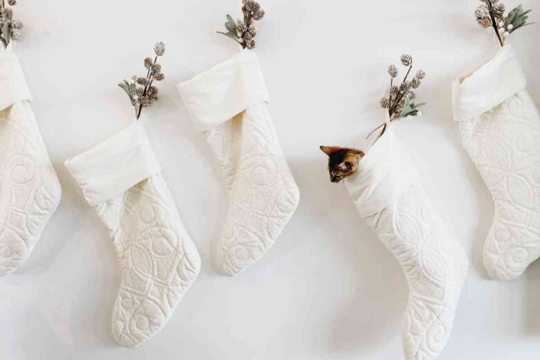 Le calze della Befana (ph Unsplash)