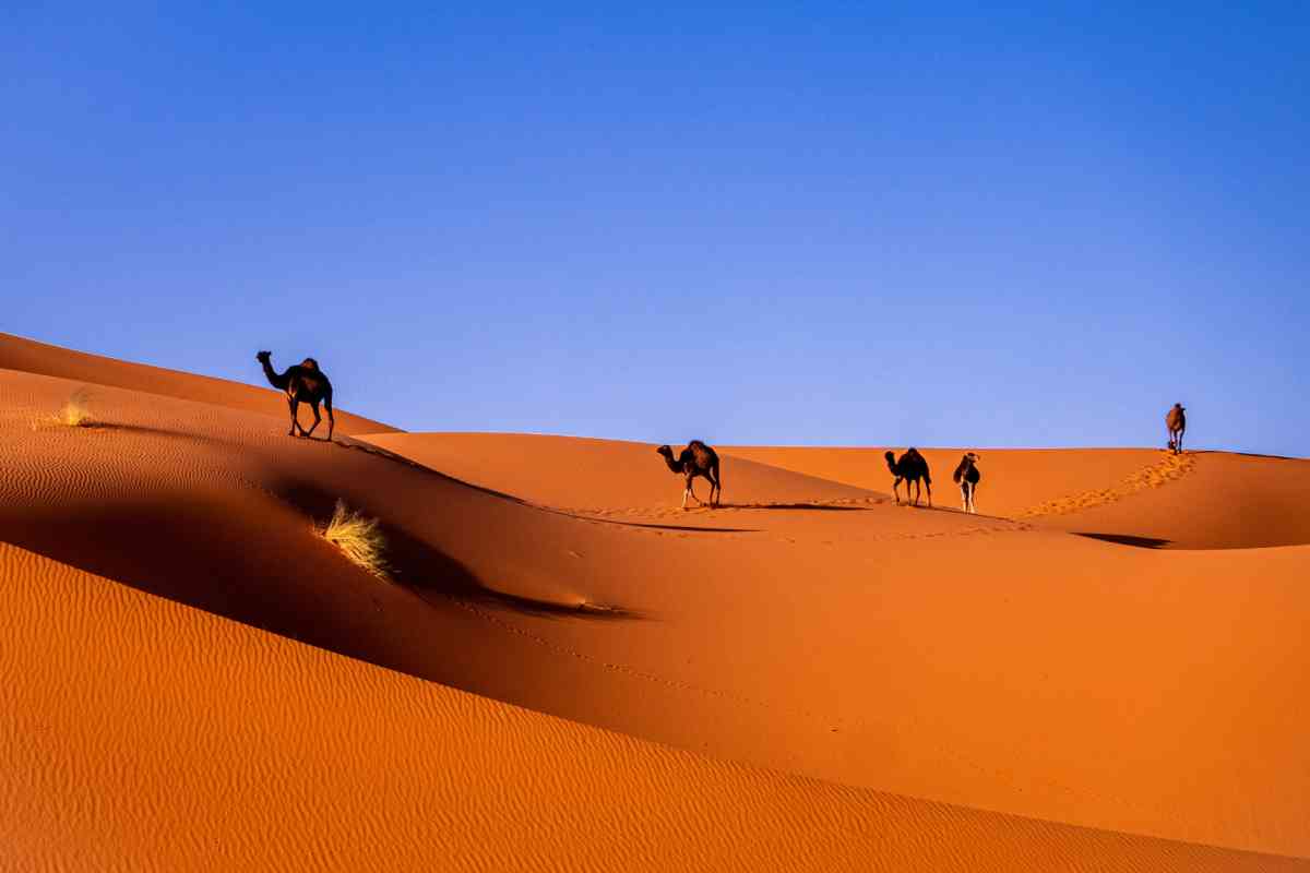 Marocco (ph Unsplash)