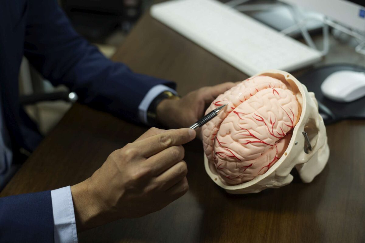 Cervello (ph.iStock)