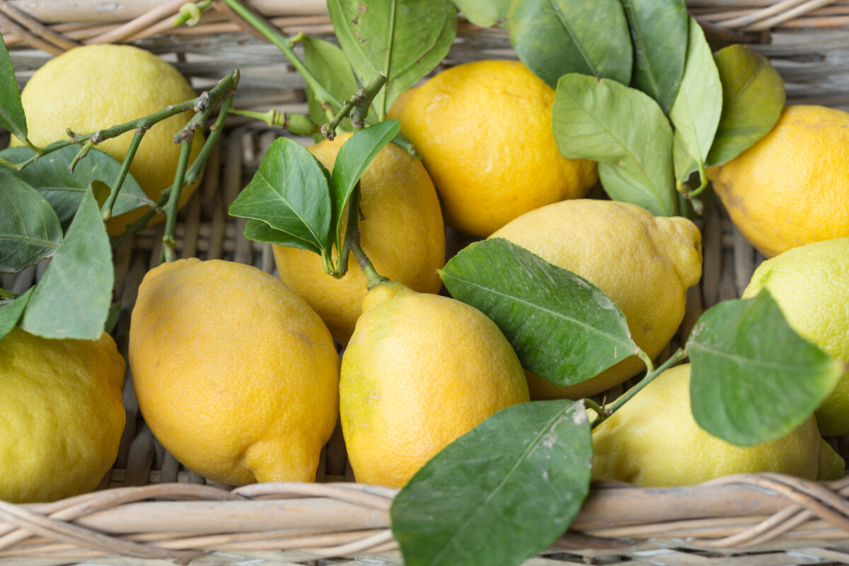 delizia al limone