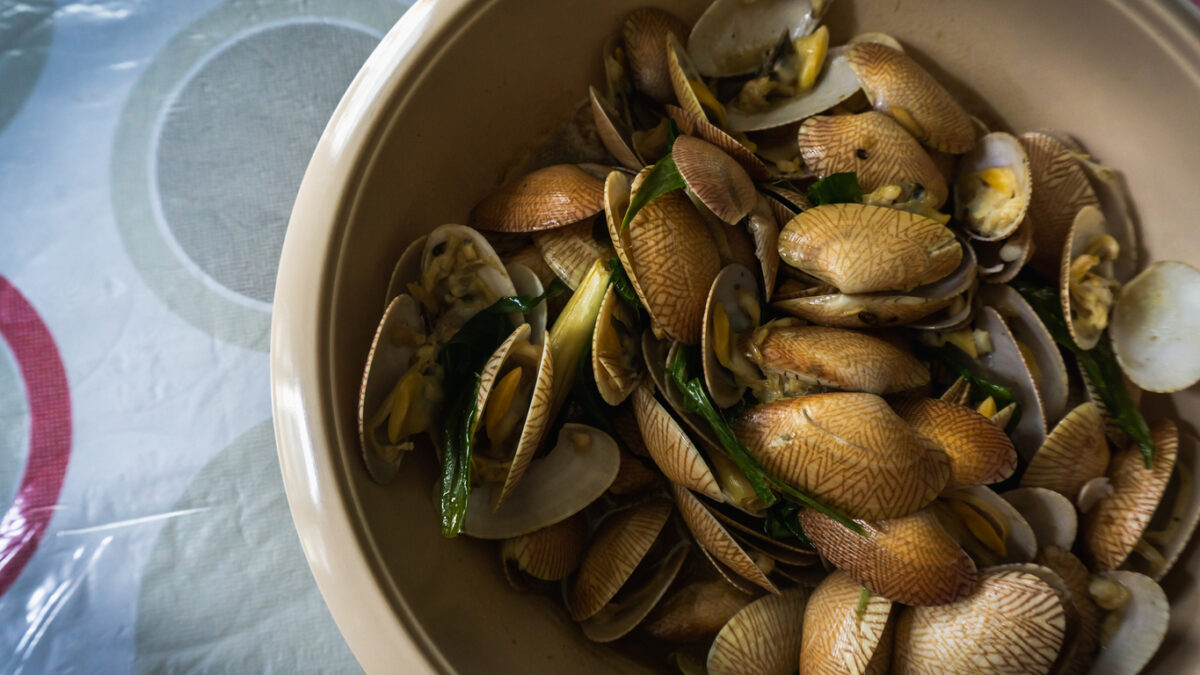 vongole in guazzetto vongole in guazzetto
