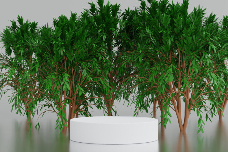 Mangrovia in vaso