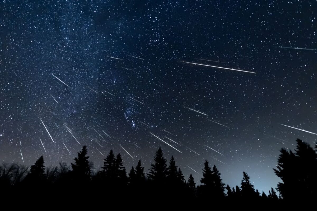 stelle cadenti