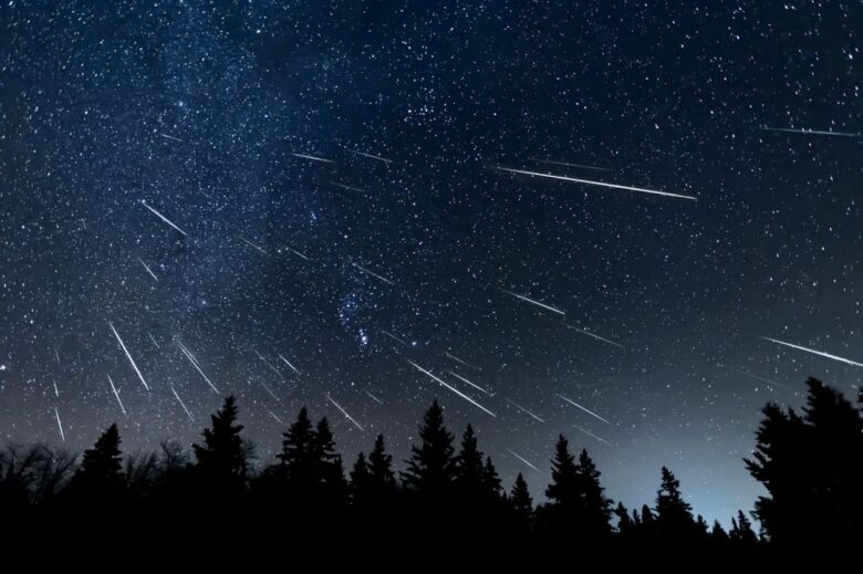 stelle cadenti