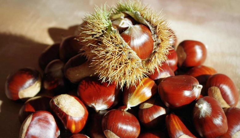 Castagne (Pixabay) - unadonna.it