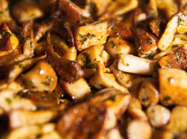 Funghi porcini (Pixabay) - unadonna.it