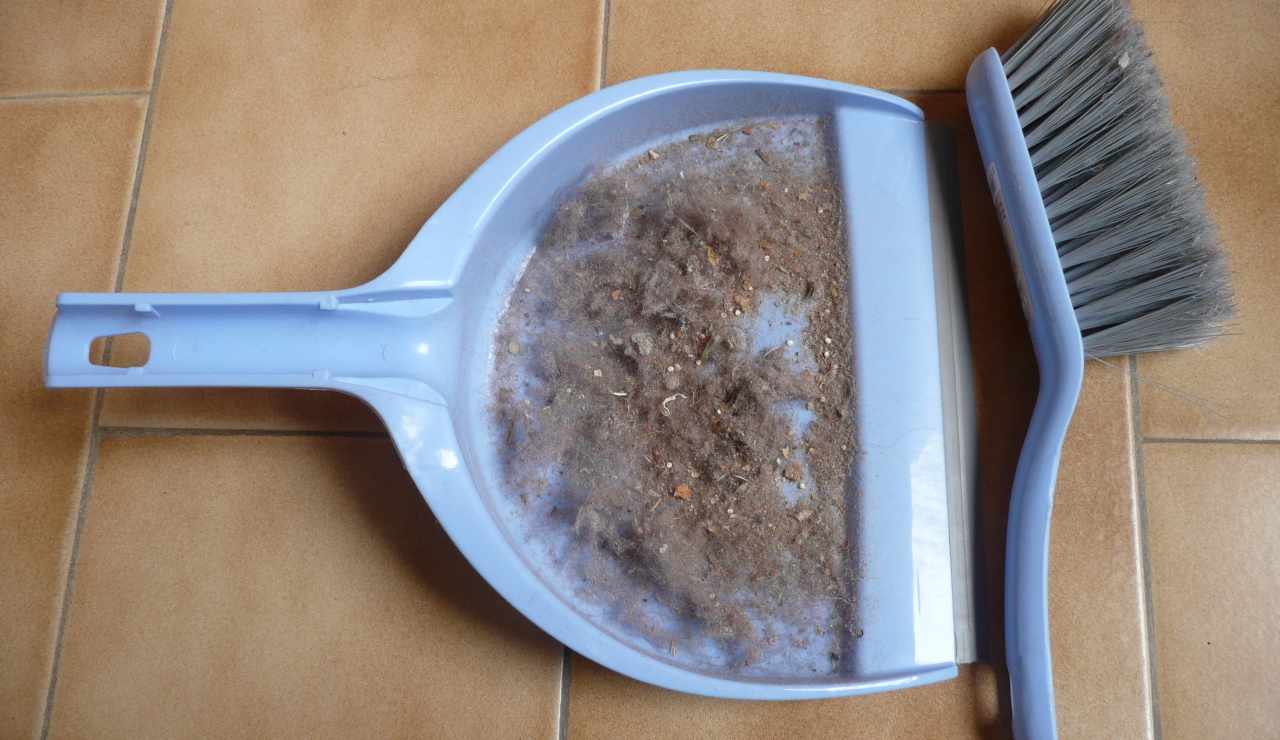 Polvere in casa