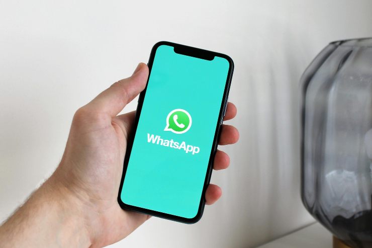WhatsApp chat