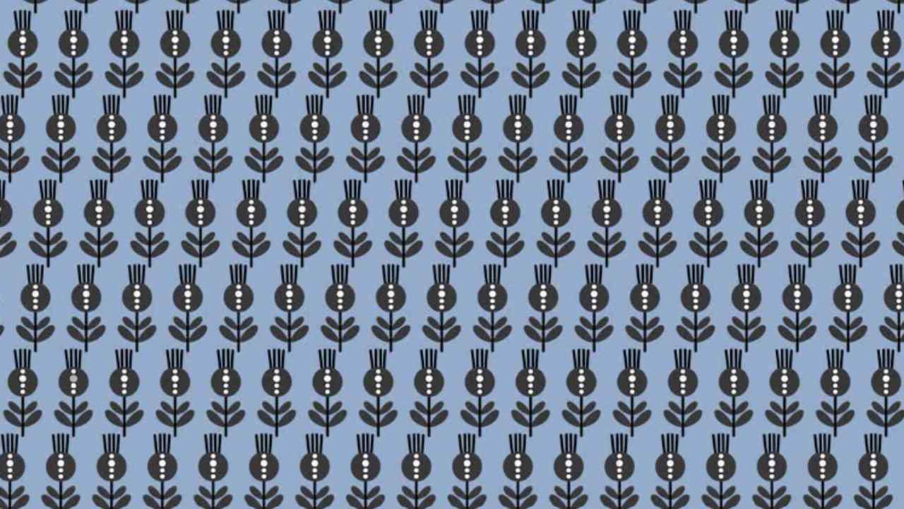 Immagine fiori (Fonte greenme.it) - unadonna.it