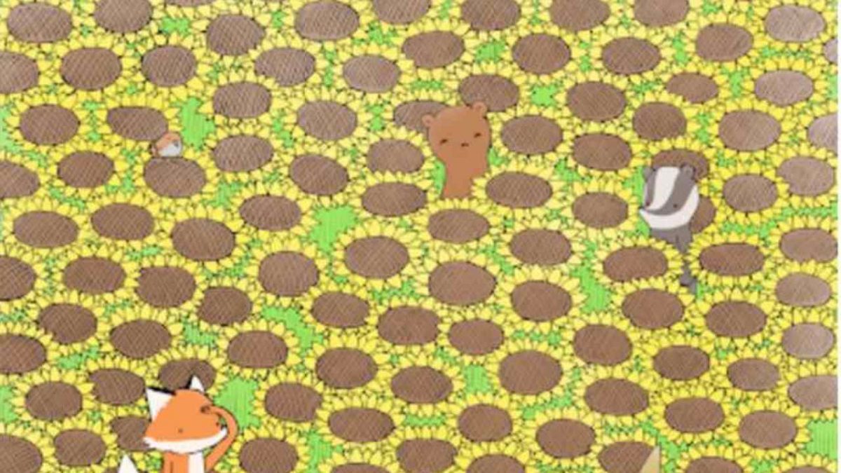 La vedi la farfalla? Questo TEST sta mandando in tilt l’Italia intera | Se la becchi in 5 secondi, sei il primo in assoluto
