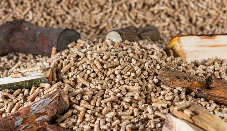 Pellet - (Pixabay) - unadonna.it