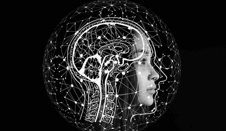 Test intelligenza - (Pixabay) - unadonna.it